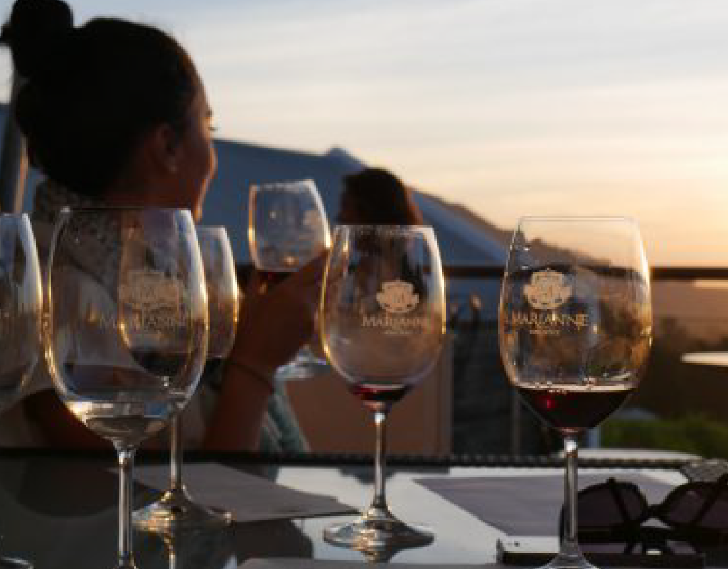 afrique-du-sud_vins-vignobles-afrique-sud-09