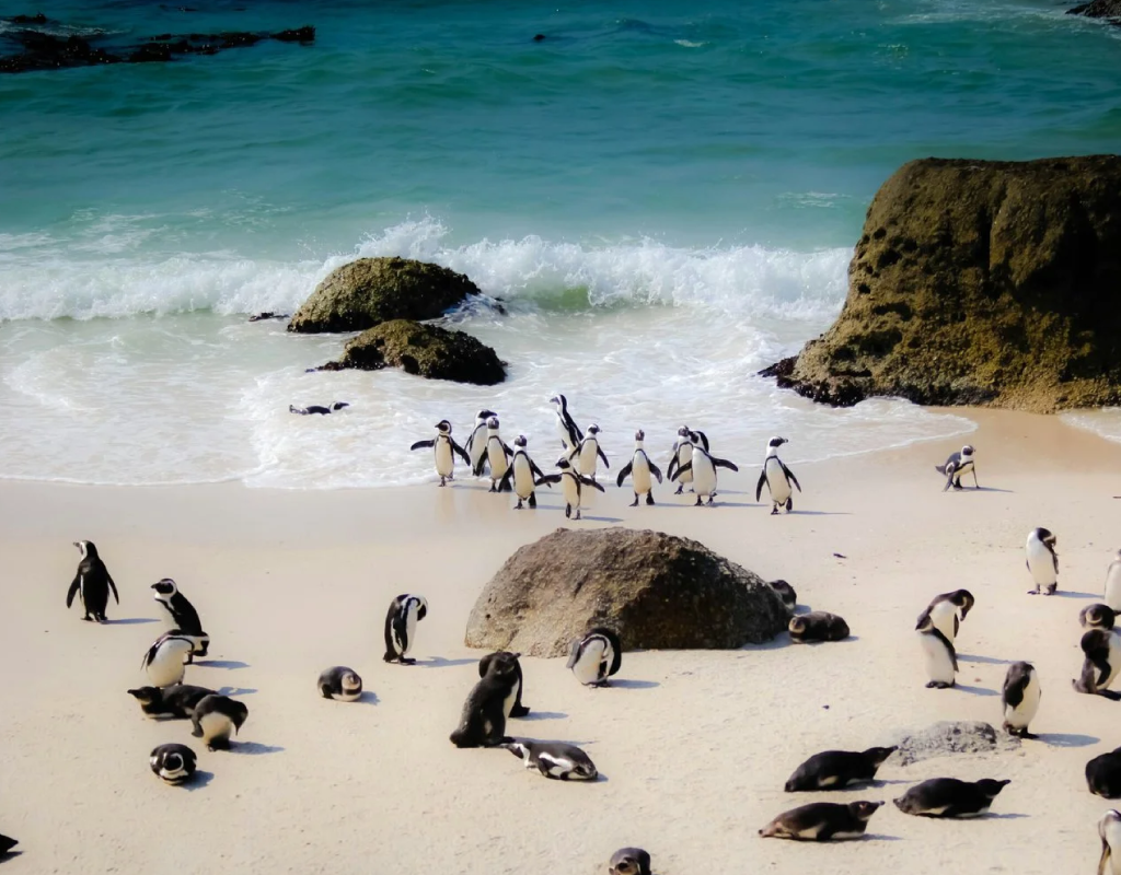 afrique-sud_pays-Zoulou-03