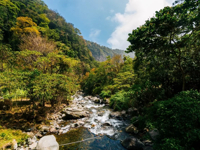 boquete-chiriqui-voyage-panama-riviere-scaled