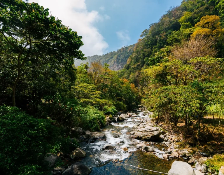 panama_immersion-nature-culture-07