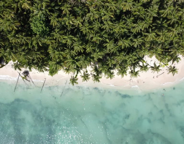 panama_immersion-nature-culture-12