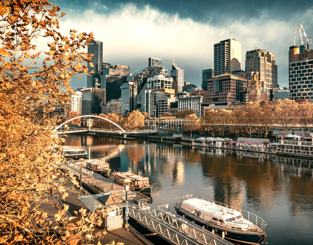 afrique-sud_vins-vignoble-01