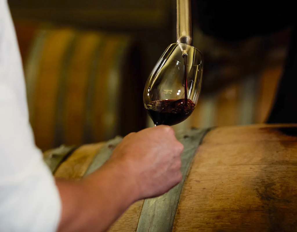 afrique-sud_vins-vignoble-12